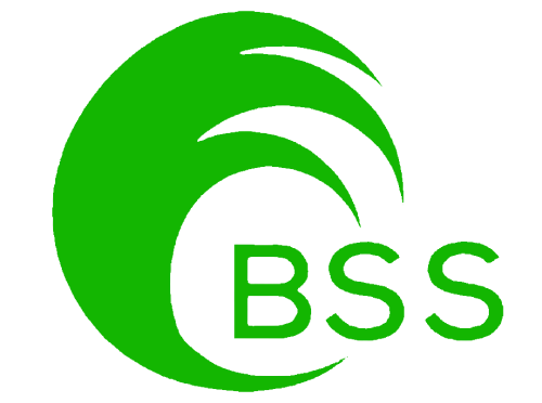BSS Logo